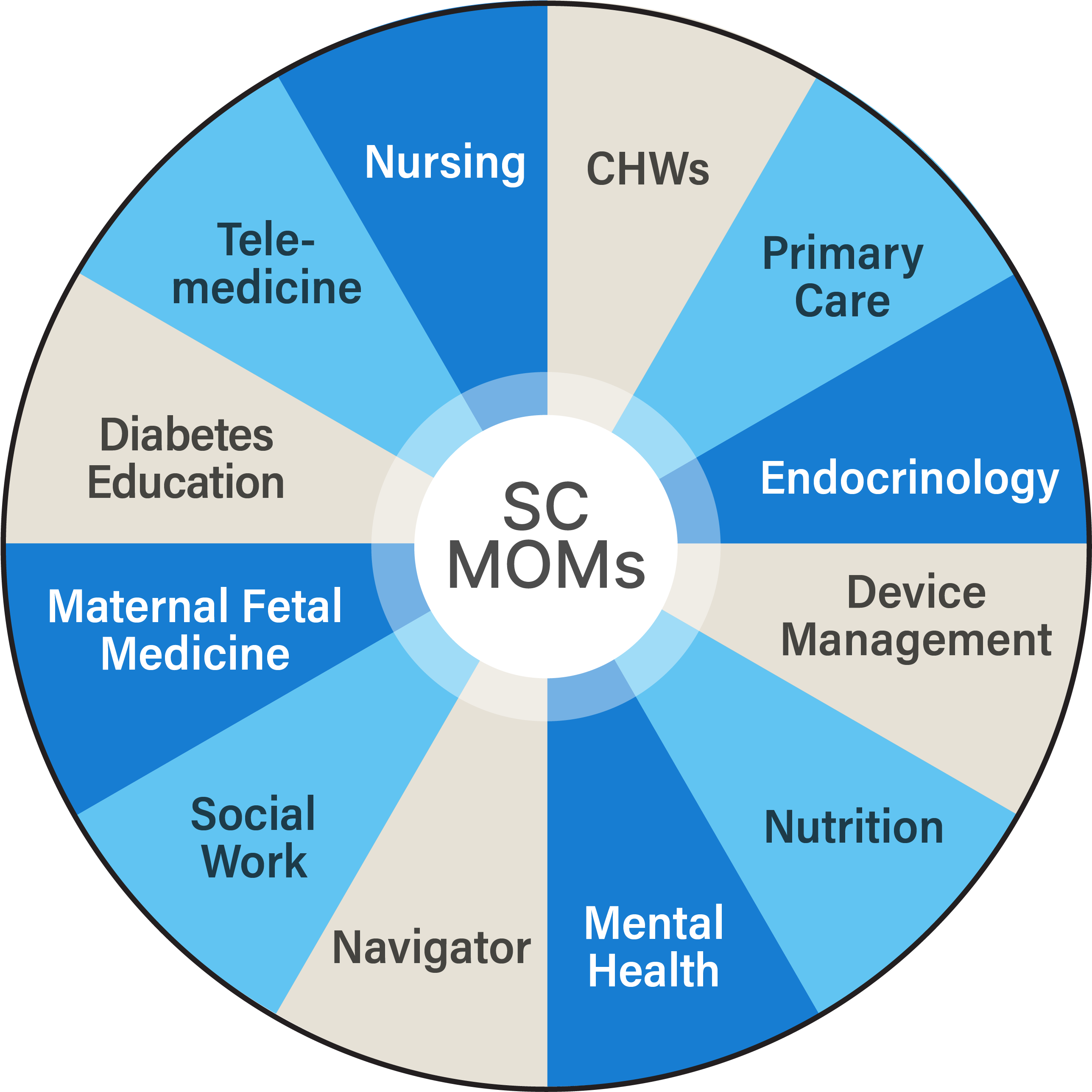 A wheel with "SC MOMs" in the mdidle made up of gray and blue labeled wedges that read Telemedicine, Nursing, CHWs, Primary Care, Endocrinology, Device Management, Nutrition, Mental Health, Navigator, Social Work, Maternal Fetal Medicine, Diabetes Education. With a circle in the middle that reads SC MOMs.