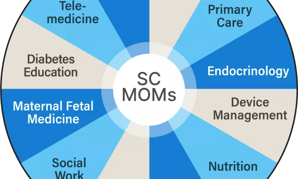SC MOMs wheel with blue and grey wedges